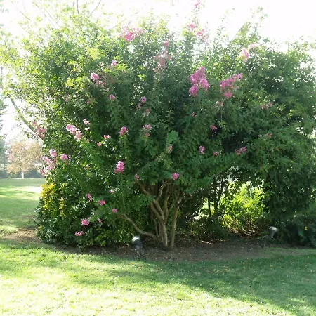 Domaine Du Bigourdan بيت للعطل